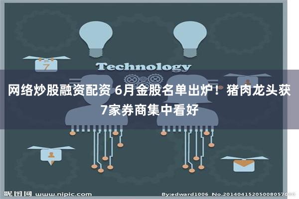 网络炒股融资配资 6月金股名单出炉！猪肉龙头获7家券商集中看好