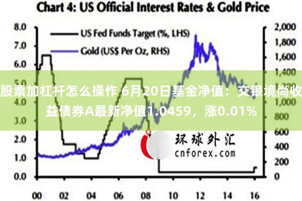 股票加杠杆怎么操作 6月20日基金净值：交银境尚收益债券A最新净值1.0459，涨0.01%