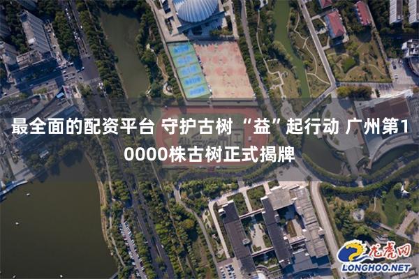 最全面的配资平台 守护古树 “益”起行动 广州第10000株古树正式揭牌