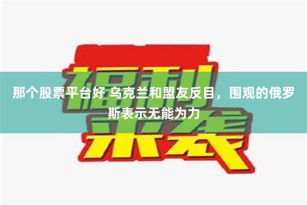 那个股票平台好 乌克兰和盟友反目，围观的俄罗斯表示无能为力