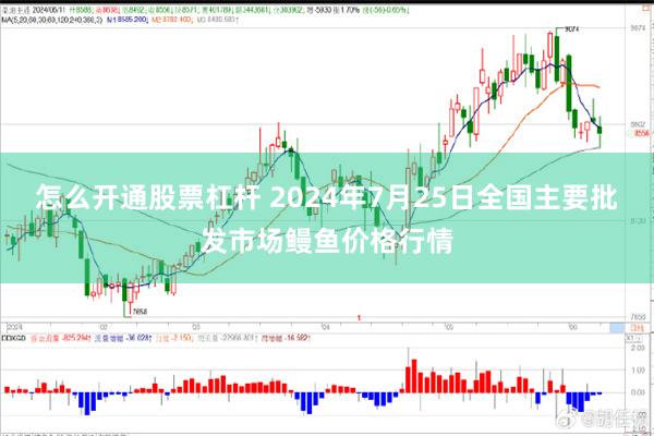 怎么开通股票杠杆 2024年7月25日全国主要批发市场鳗鱼价格行情