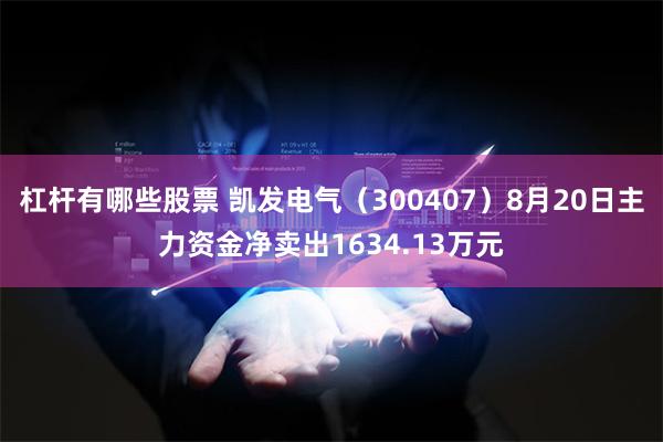 杠杆有哪些股票 凯发电气（300407）8月20日主力资金净卖出1634.13万元