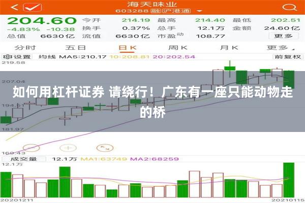 如何用杠杆证券 请绕行！广东有一座只能动物走的桥