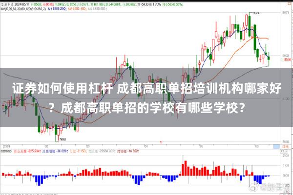 证券如何使用杠杆 成都高职单招培训机构哪家好？成都高职单招的学校有哪些学校？