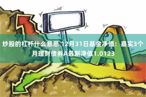 炒股的杠杆什么意思 12月31日基金净值：嘉实3个月理财债券A最新净值1.0123