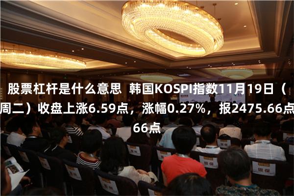 股票杠杆是什么意思  韩国KOSPI指数11月19日（周二）收盘上涨6.59点，涨幅0.27%，报2475.66点